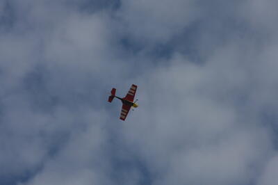 IMG 6556